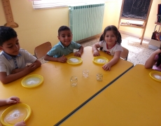 Distribuire una manciata di sale fino su un piatto di plastica con fondo ruvido