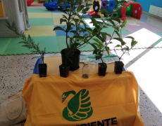 SEMINARE PER DISSEMINARE