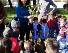 SEMINARE PER DISSEMINARE