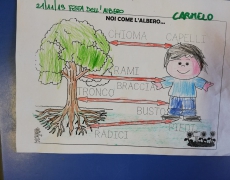 SEMINARE PER DISSEMINARE