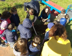 SEMINARE PER DISSEMINARE