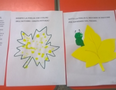 Il libro della storia di Rossella