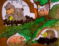 Gli animali che si addormentano per difendersi dal freddo